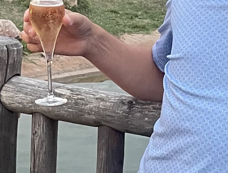 Profil de Jean-carlo, 47 ans, Escort Gay Canada à Ashfield-Colborne-Wawanosh